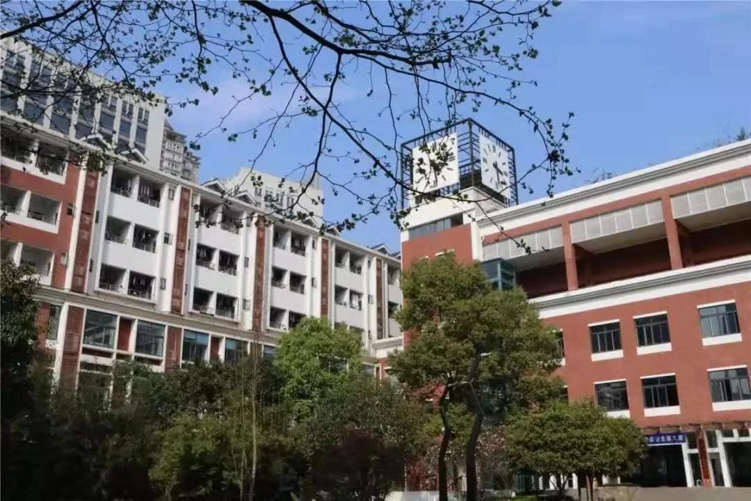 字水中学vs徐悲鸿中学篮球比赛,重庆字水中学和徐悲鸿哪个好