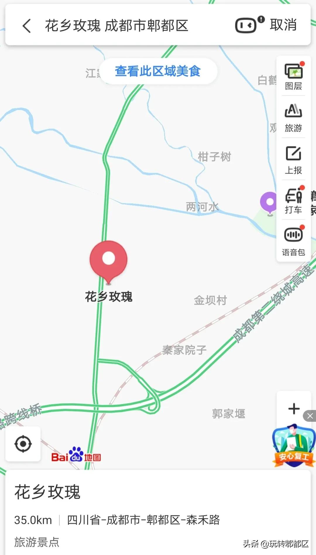 郫都区最美的花海,成都郫都花乡玫瑰开放了吗