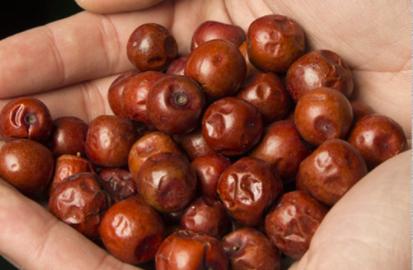 睡不着只知道喝牛奶？睡前一杯枣仁汤，夜夜周公来相会