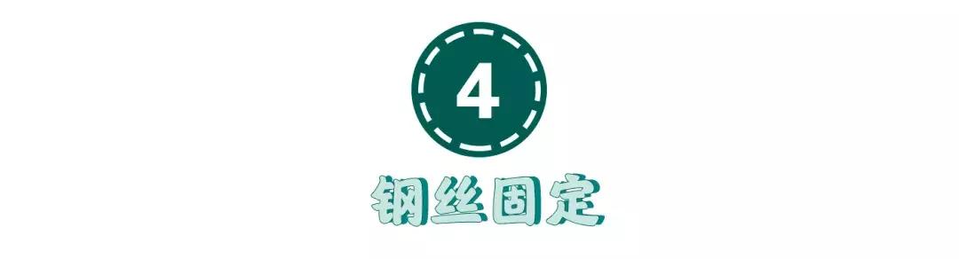 猫咪狗狗骨折了怎么办？扒一扒宠物“骨子里”的那些事