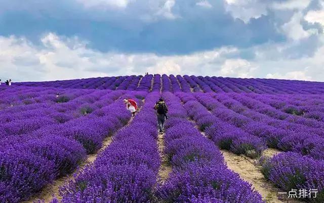 <html>
<head><title>502BadGateway</title></head>
<body>
<center><h1>502BadGateway</h1></center>
<hr><center>nginx</center>
</body>
</html>
<!--apaddingtodisableMSIEandChromefriendlyerrorpage-->
<!--apaddingtodisableMSIEandChromefriendlyerrorpage-->
<!--apaddingtodisableMSIEandChromefriendlyerrorpage-->
<!--apaddingtodisableMSIEandChromefriendlyerrorpage-->
<!--apaddingtodisableMSIEandChromefriendlyerrorpage-->
<!--apaddingtodisableMSIEandChromefriendlyerrorpage-->
