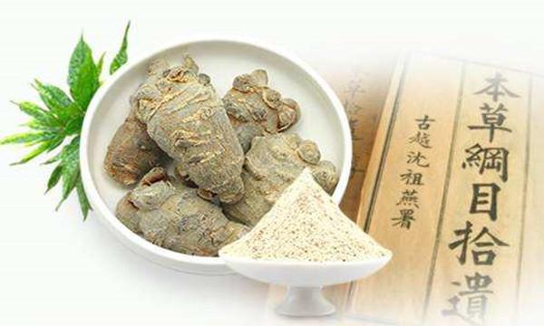 三七保健药,每天认识一味药三七