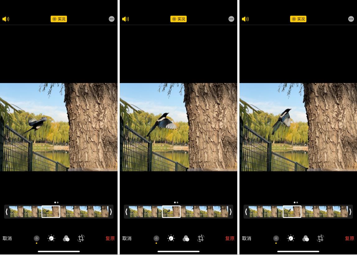苹果12pm如何拍微距,苹果12pm拍摄技巧