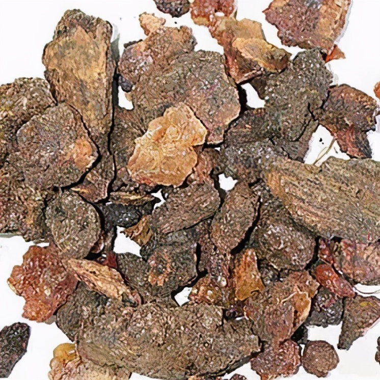 执业中药师常用单味药,中药药剂师必看的书