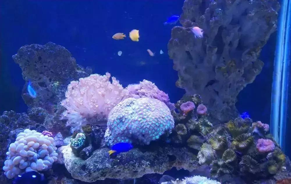 今年夏天在武汉必做的十件事,武汉新春过年坐地铁打卡攻略