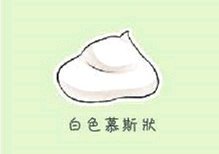 铲屎官的呕吐,狗狗呕吐铲屎官该怎么办