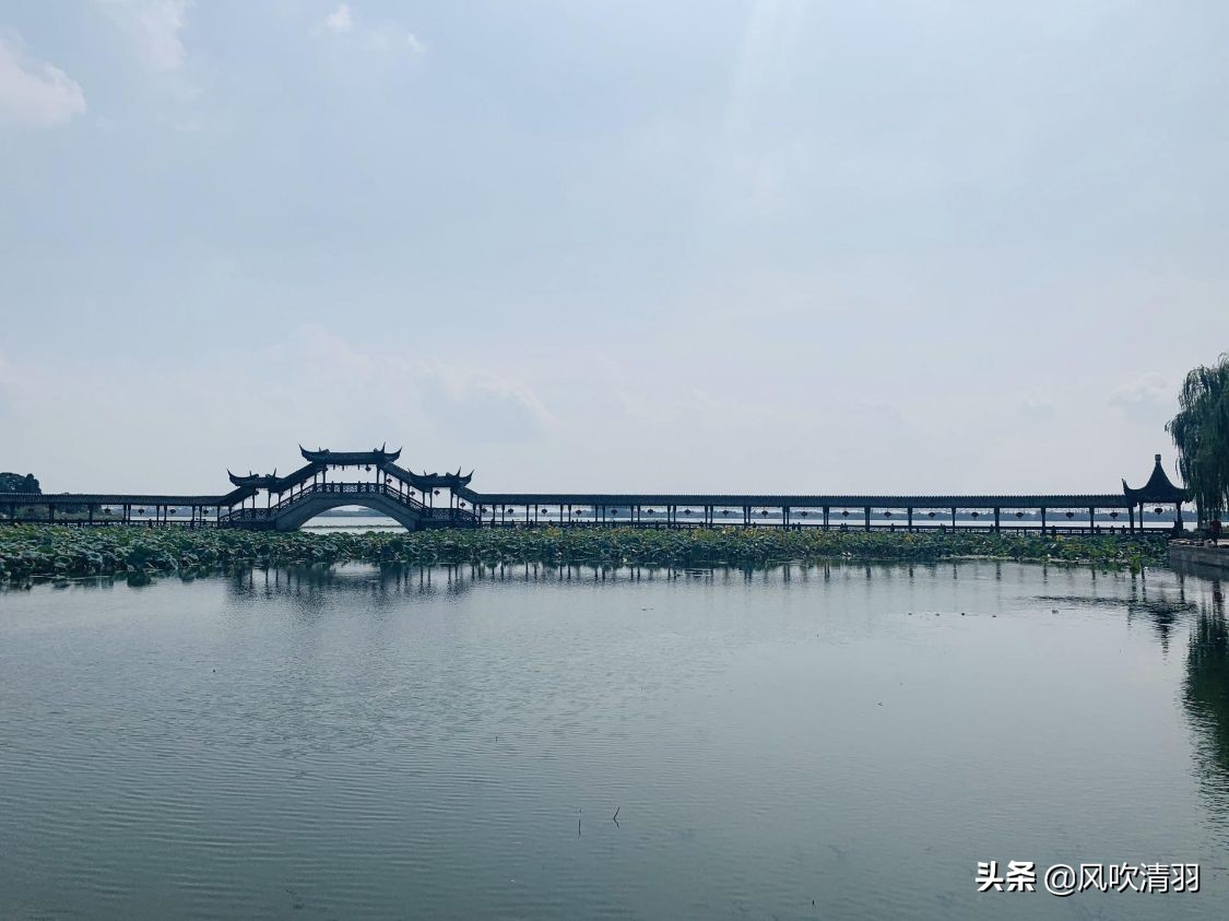 苏州，被忽视的一座养老宜居地，很多人“逃离”一线城市来此生活