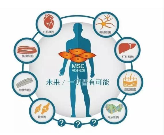 干细胞治疗脑中风后遗症最新消息,干细胞疗法根治高血压在北京