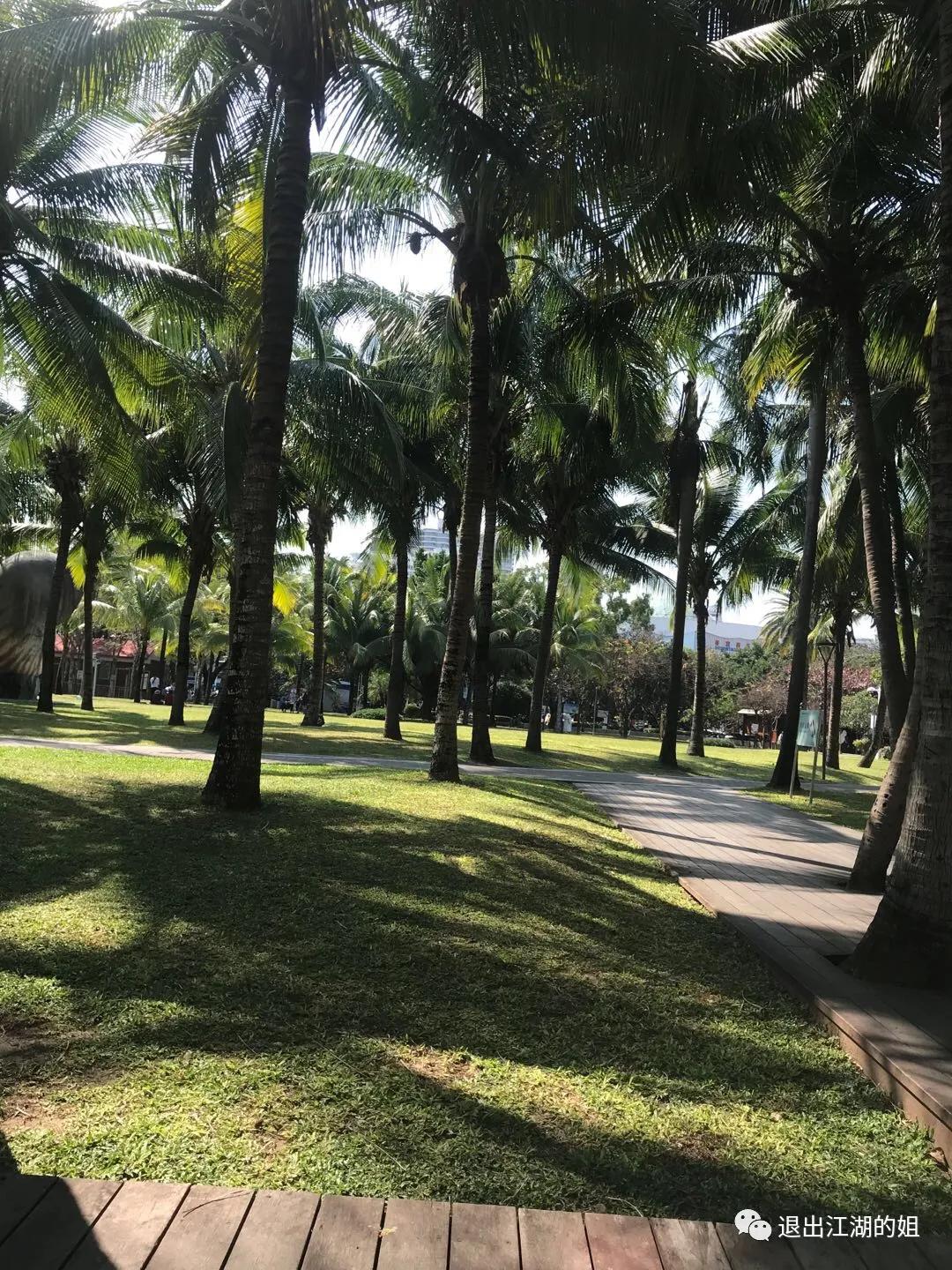 缘浅情淡，和人只说三分话（猫冬海南26）