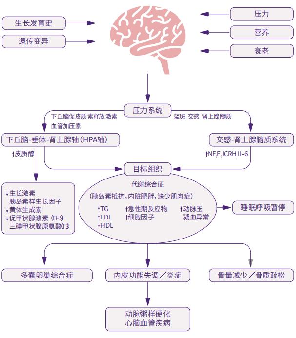 十堰太和医院服务哪些地区,十堰太和医院新院区在哪里
