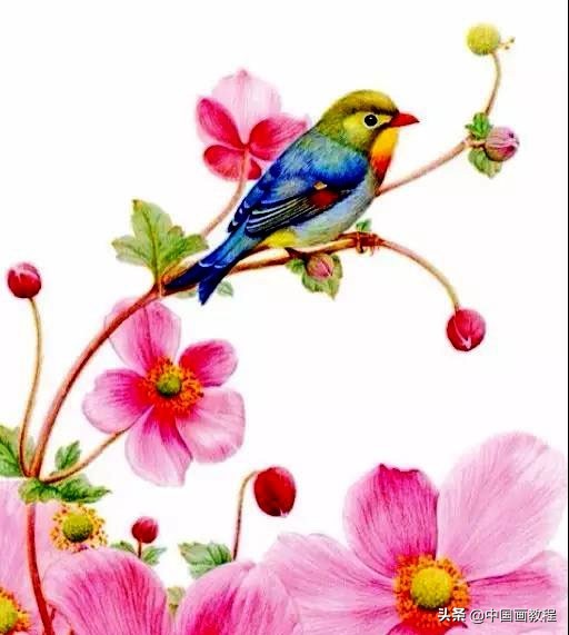 画羽毛的小技巧,根根分明的羽毛画法