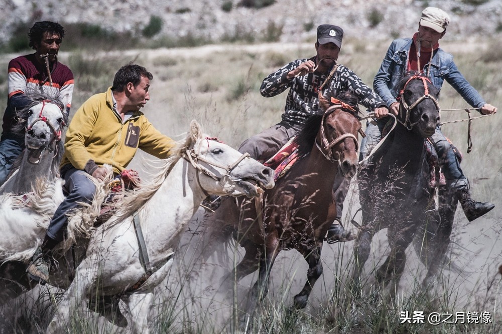 铁血雄鹰全剧,铁血雄鹰全文阅读