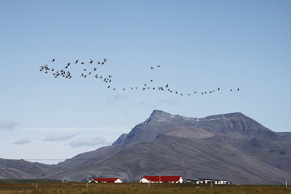 兀然不动的混沌被何物冲破——布鲁克纳《第九交响曲》