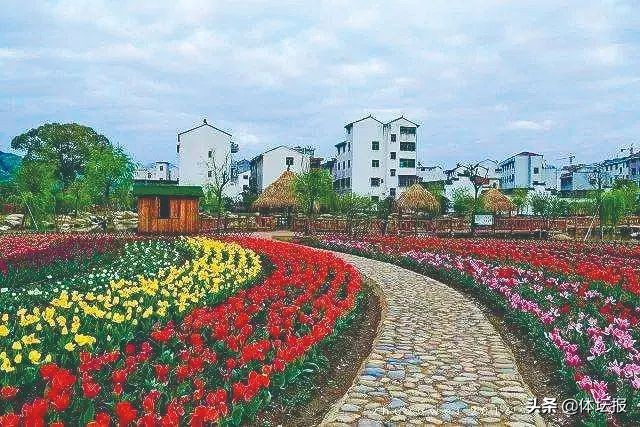 一村一特色一社区一亮点,一村一特色创建