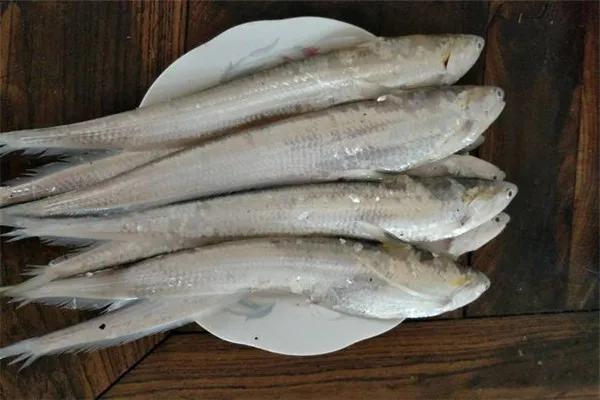 中国最好吃的4大淡水鱼,中国特别好吃的10种淡水鱼