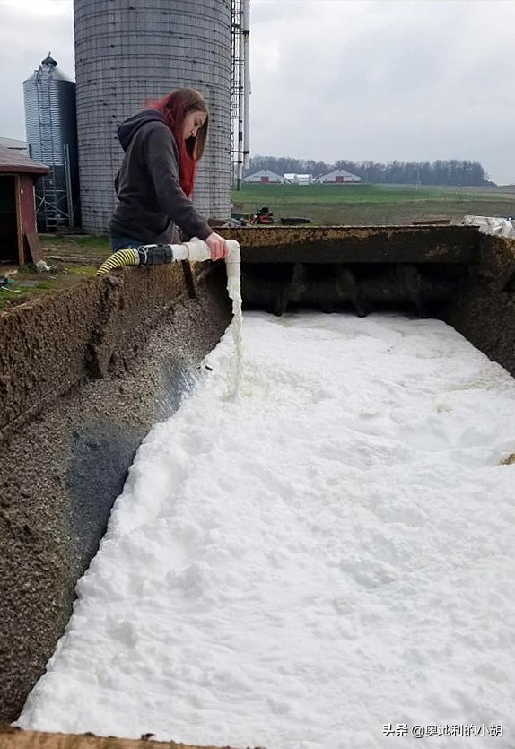 牛奶到底哪一种牛奶最好,公认最没营养的5种牛奶