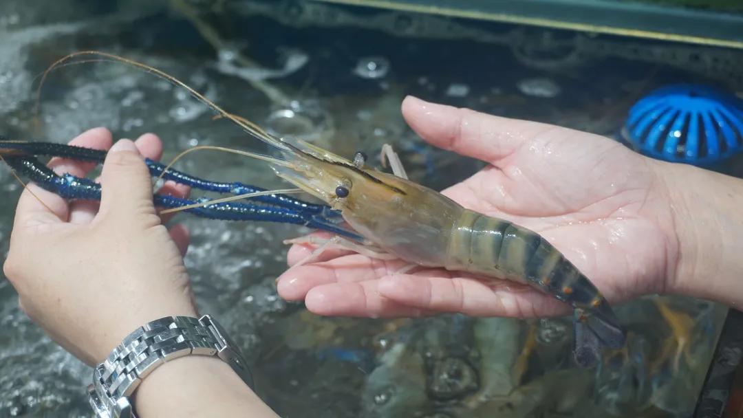 去菜市场吧!|黄沙,负名之下书尽鲜活百态