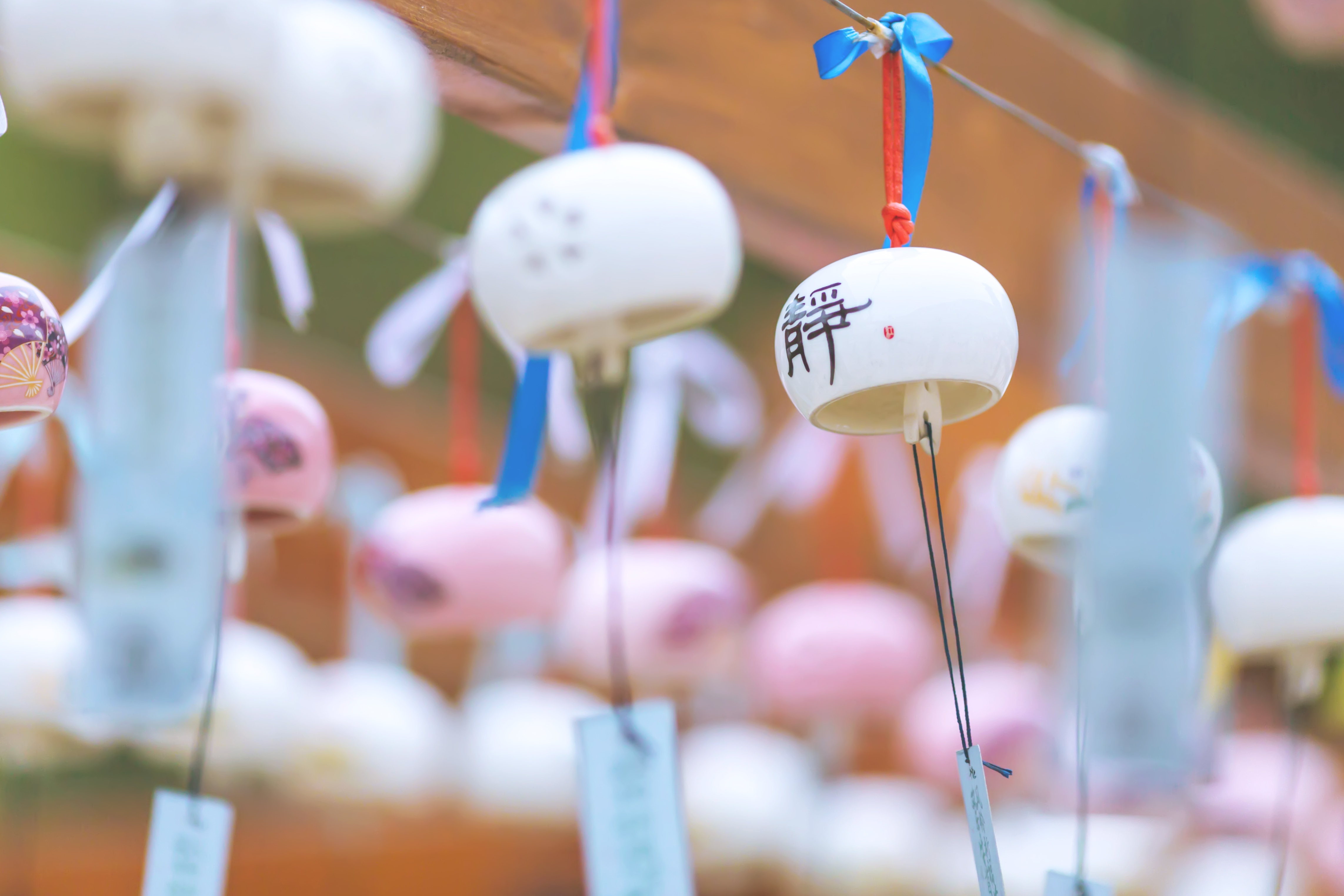 释迦牟尼佛的头盖骨,释迦牟尼25岁等身像之谜