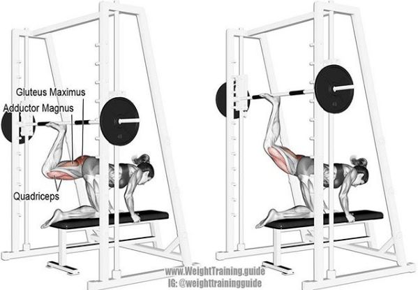 胸肩背臂腿腹训练动作,腰臀肌肉训练方法