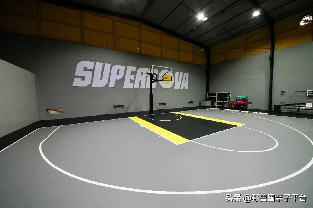 东莞儿童篮球兴趣班培训机构推荐,儿童篮球哪家机构好