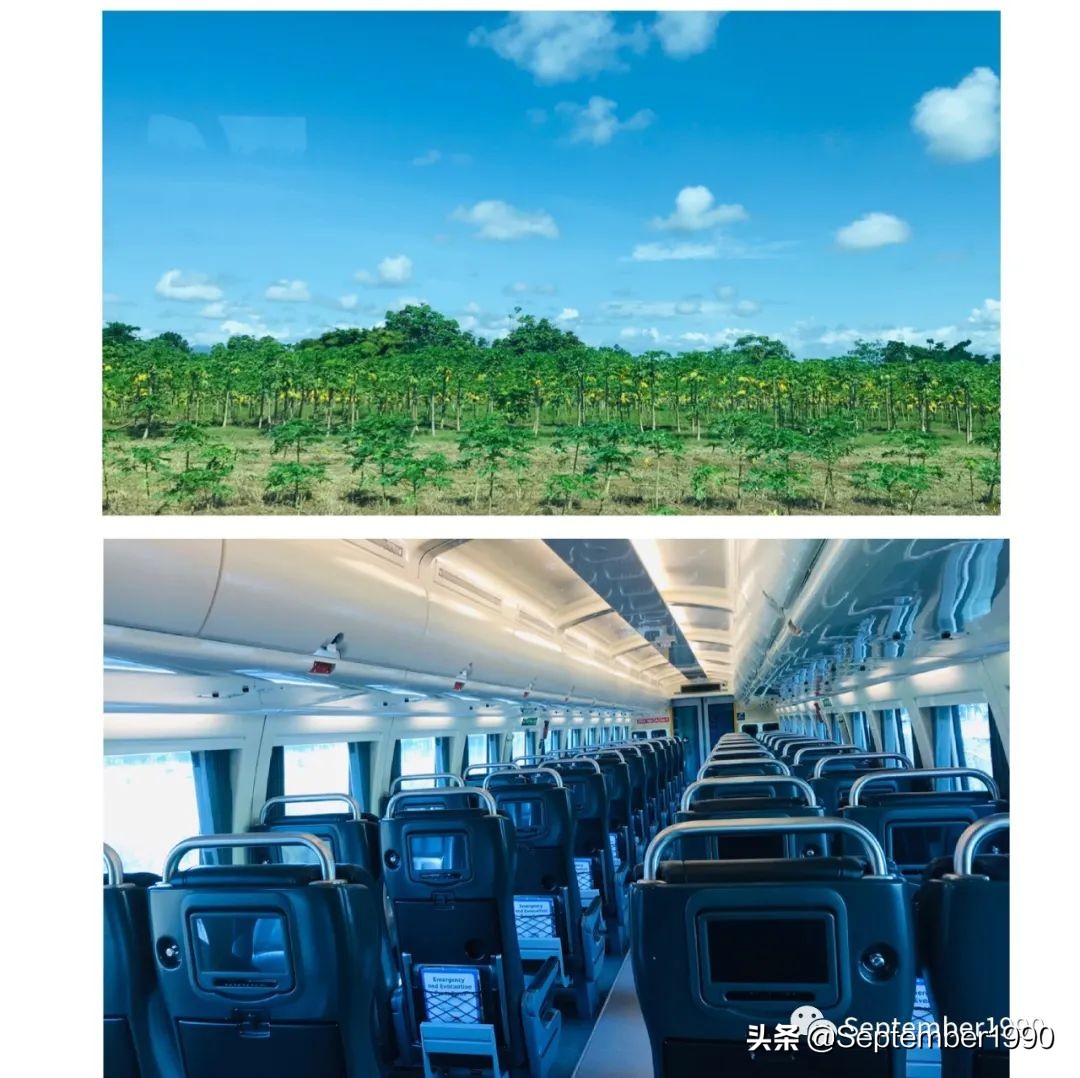 土澳打工真实生活,土澳生存指南