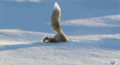 中国地大物博，知道东、南、西、北极在哪里吗？