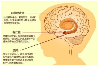 了解情绪的源头，你才能真正懂人性，才能真正调动聪颖