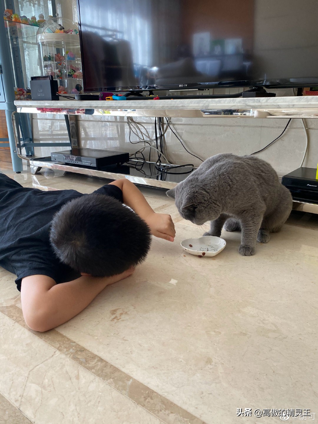 胡可晒小鱼儿垂涎猫粮，趴地上围观猫咪进食，网友提醒谨慎他偷吃