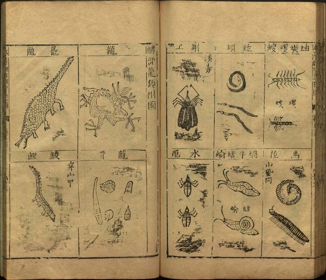 李时珍与本草纲目ppt课件,神农本草经正版李时珍书籍