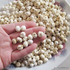 白话草药,中药白话