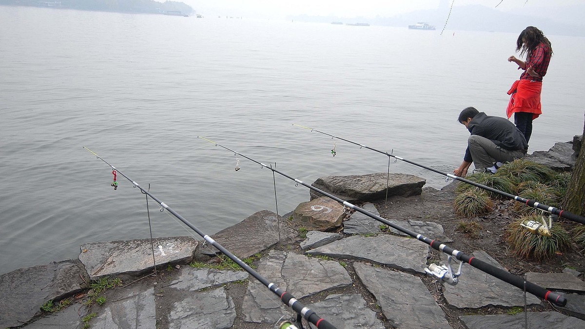 钓鱼人关注了，这六种垂钓行为，四种用饵被纳入监管，禁止使用！