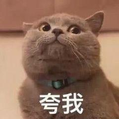 碰瓷团伙作案手法,碰瓷专业户已被抓获
