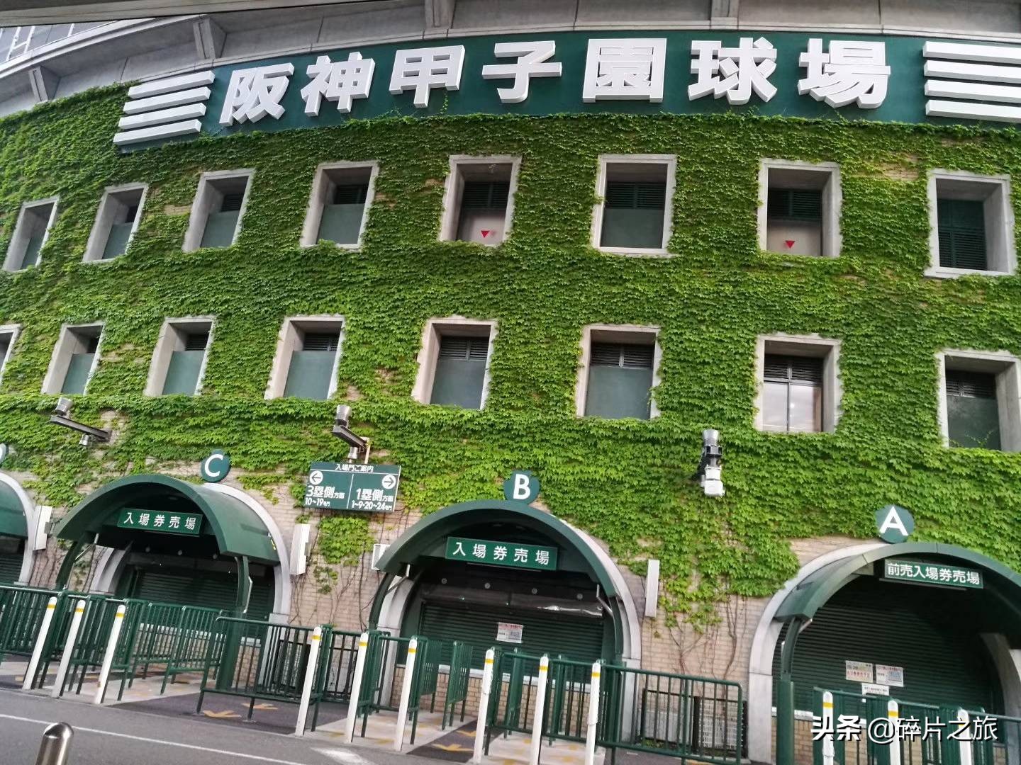 乘风破浪的姐姐们外滩聚餐,上海游轮去日本攻略