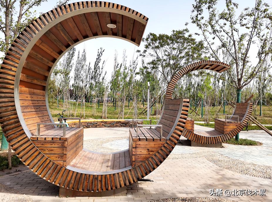 市区又多一个遛娃圣地,不花钱的遛娃胜地