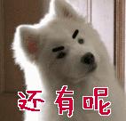 whatsapp英文口头怎么读,whatsapp的音标及发音