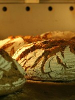 烘焙发烧友带你了解嵌入式烤箱,了解烘焙课程需要咨询什么