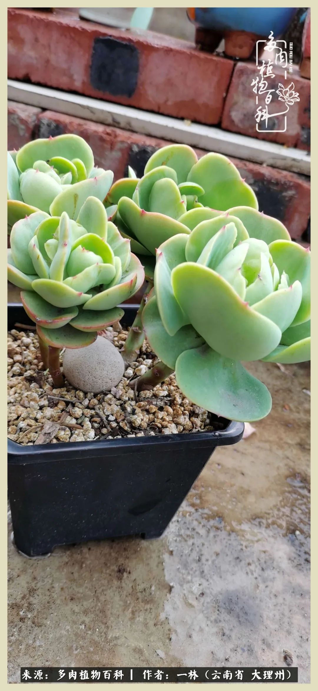 星光不问赶路人文案,时光不负有心人星光不负赶路人