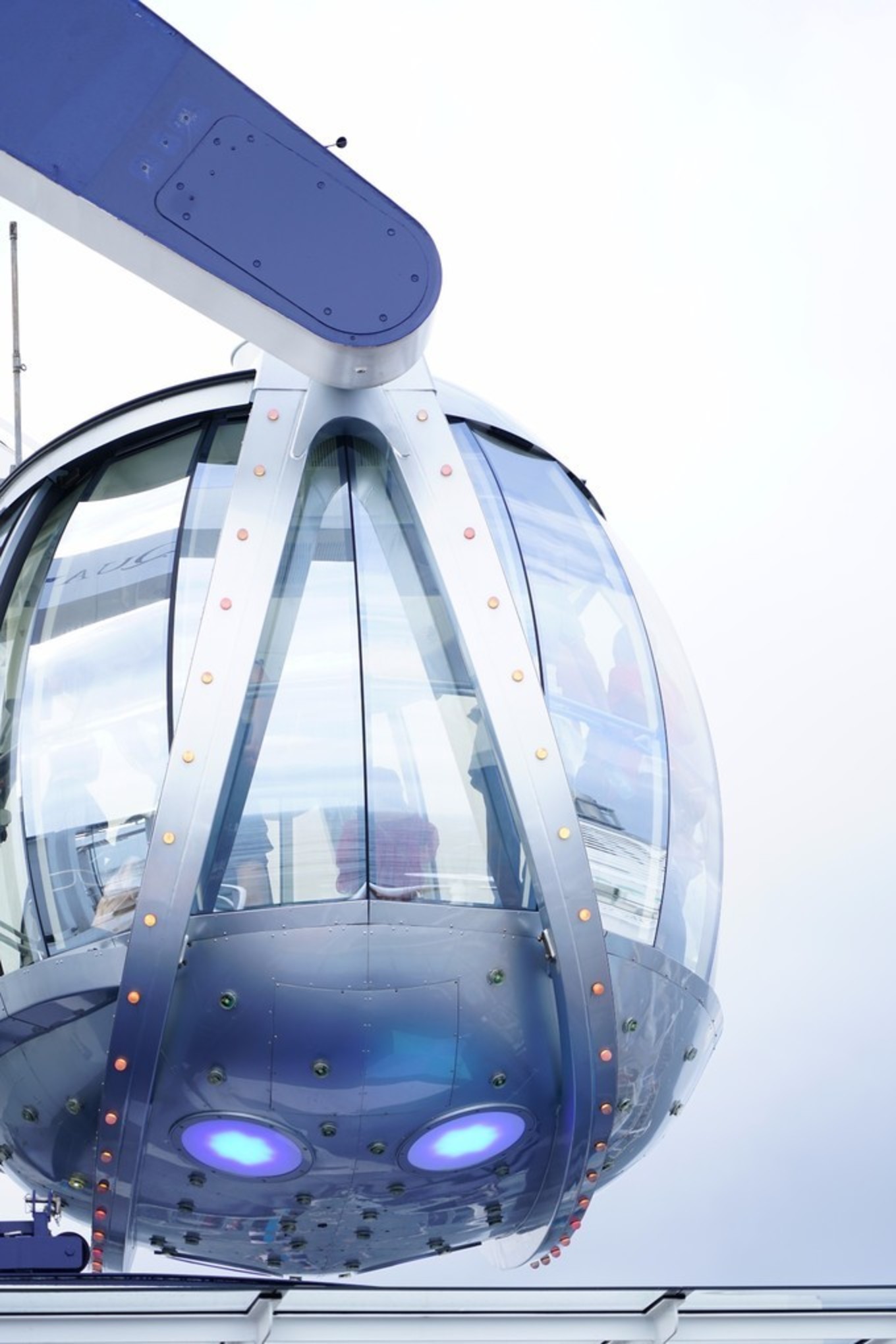 皇家加勒比选哪条航线,皇家加勒比海洋航线