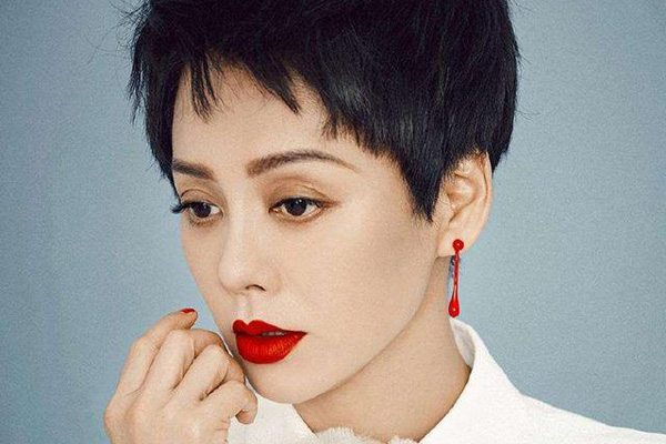 盘点家乡明星,家乡的明星都有哪些