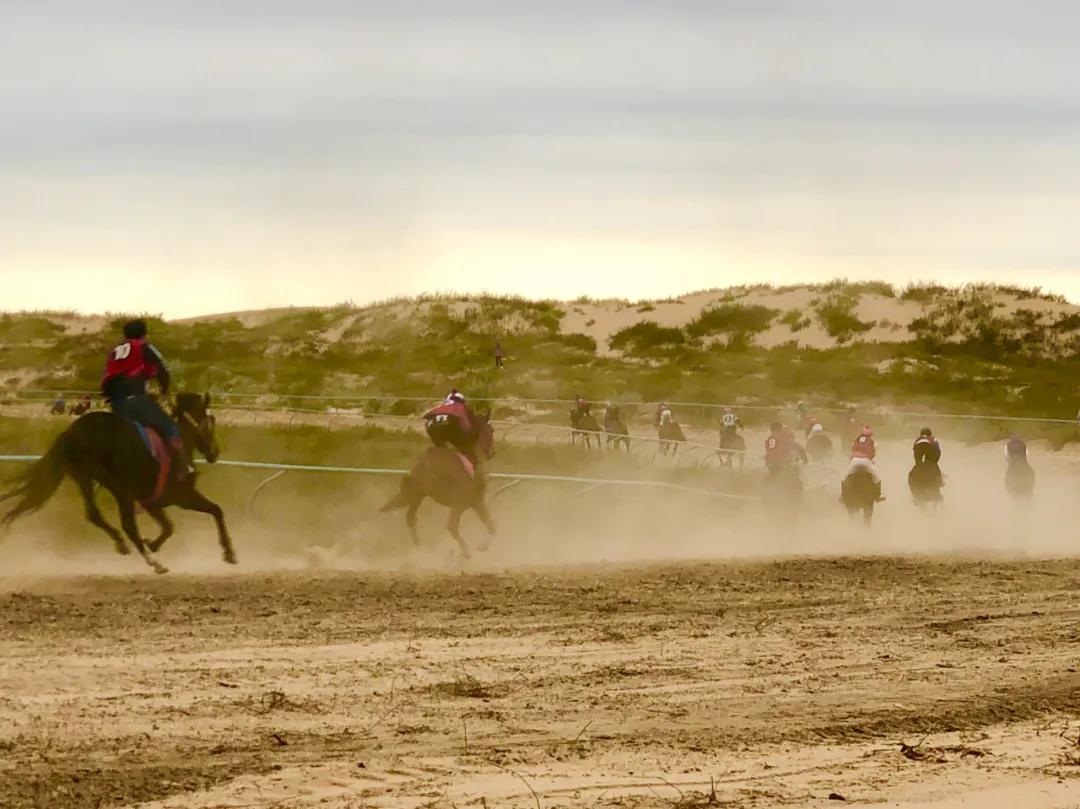 赛马比赛马背上的民族,马背上的民族赛马威武