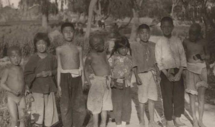 怀念我的母亲,怀念我的母亲全文