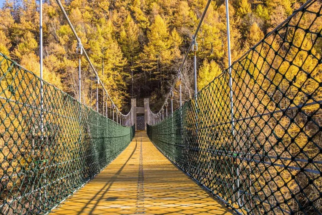 兴安盟的红色文化,文博灯光艺术节