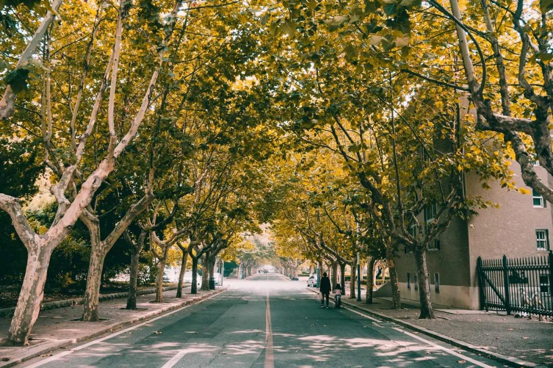 旅游三亚和厦门哪个更值得去,三亚和厦门哪个更值得去三亚旅游