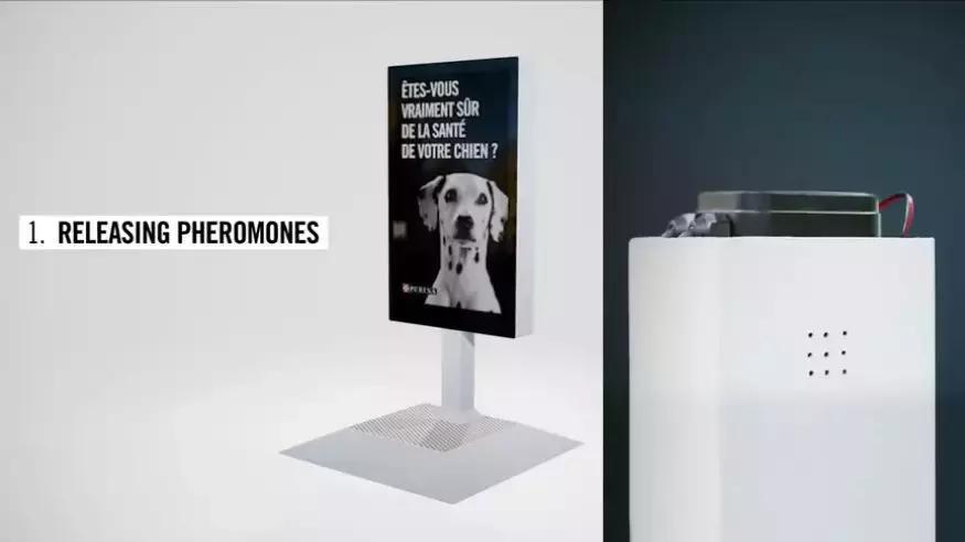 广告的灵魂是什么,看了这些作品你领悟到了什么