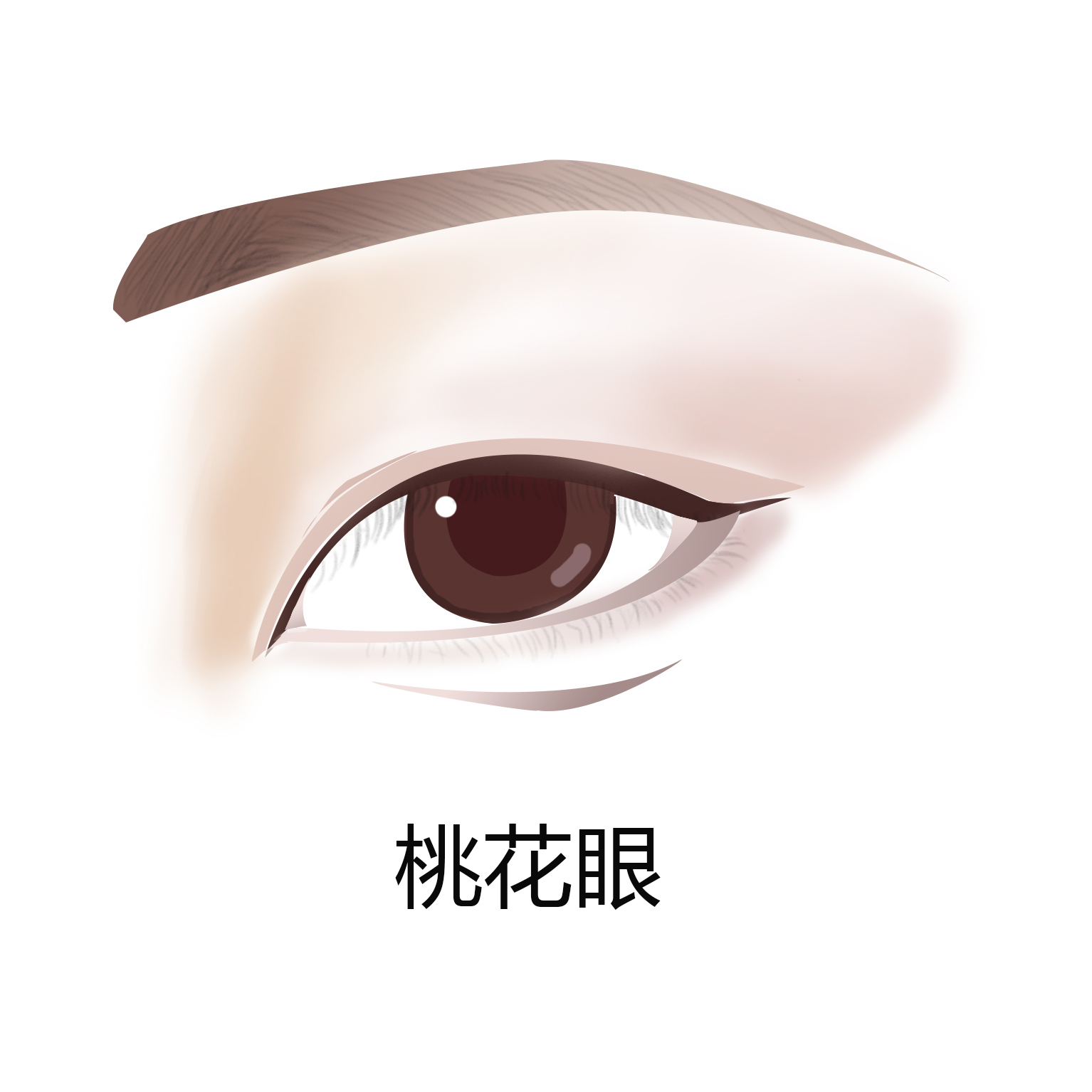 女人的几种眼型和性格,什么眼型的女人最好看