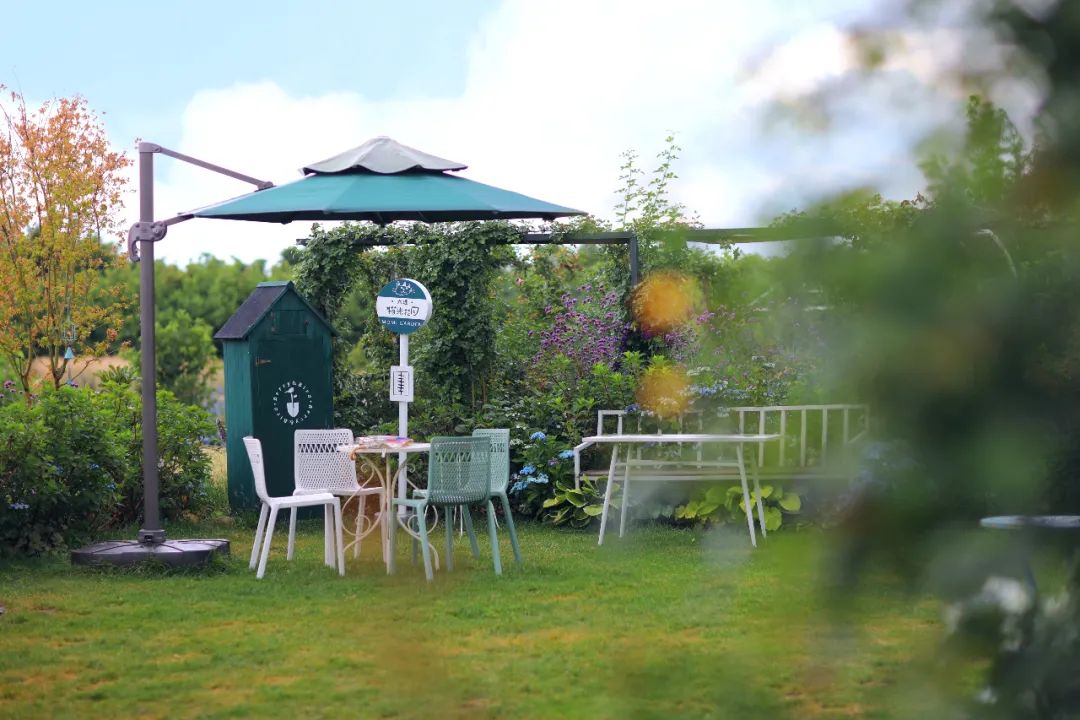 苏州旅行攻略女孩子,苏州旅游女生攻略