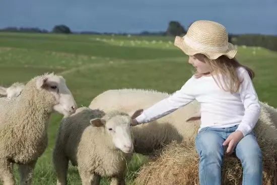 中国乳业超强父子兵来了！蓝河携“浪姐”张雨绮，要谋划一盘大棋