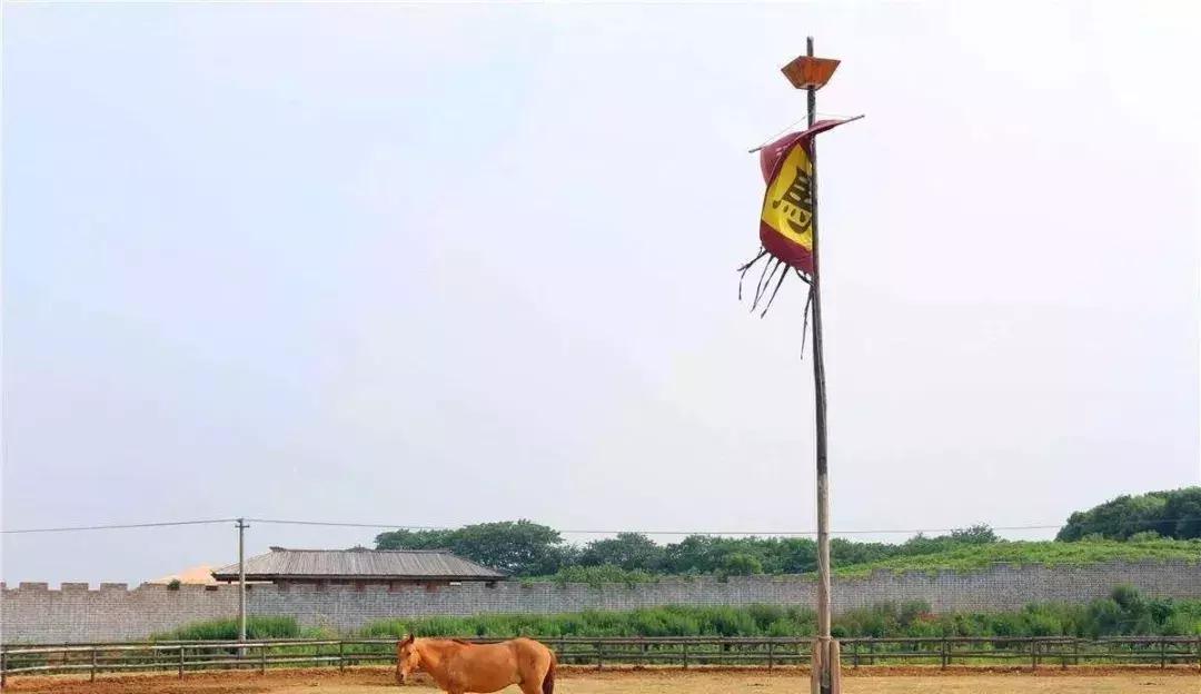 200亩，游客年超30万，这个用枯树建成的农庄牛在哪？