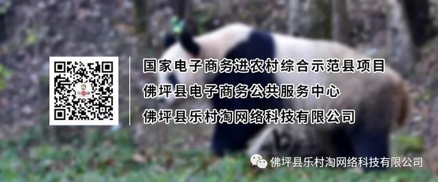 佛坪特产,佛坪特产小吃