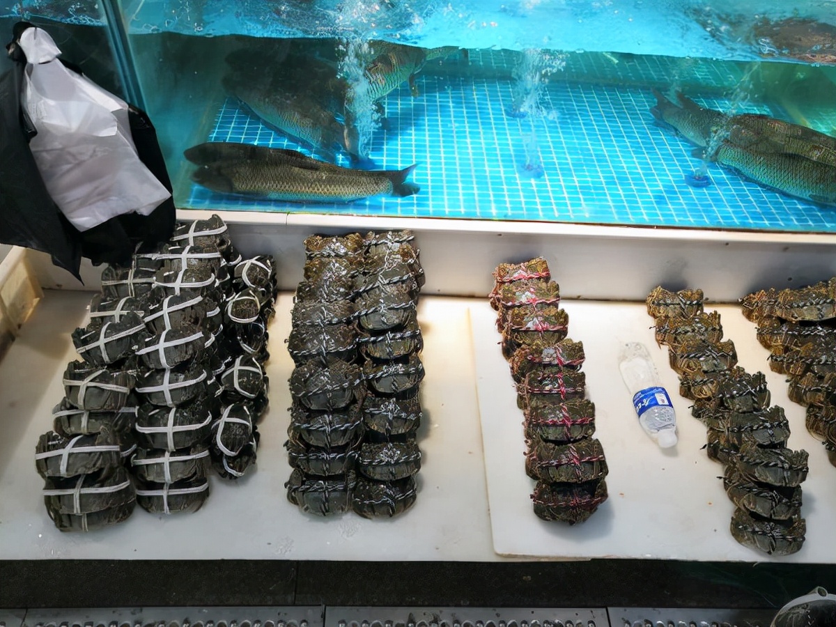 湖蟹价格高出塘蟹,哪种蟹最好卖又便宜